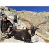 Image 3 : 14 - DAY SPANISH IBEX GRAND SLAM HUNT FOR 1 HUNTER