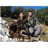 Image 5 : 14 - DAY SPANISH IBEX GRAND SLAM HUNT FOR 1 HUNTER