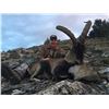 Image 6 : 14 - DAY SPANISH IBEX GRAND SLAM HUNT FOR 1 HUNTER