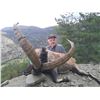 Image 8 : 14 - DAY SPANISH IBEX GRAND SLAM HUNT FOR 1 HUNTER