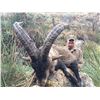 Image 9 : 14 - DAY SPANISH IBEX GRAND SLAM HUNT FOR 1 HUNTER