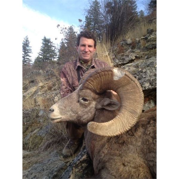 STATE OF WASHINGTON CALIFORNIA BIGHORN SHEEP