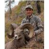 Image 4 : STATE OF WASHINGTON CALIFORNIA BIGHORN SHEEP