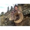 Image 5 : STATE OF WASHINGTON CALIFORNIA BIGHORN SHEEP