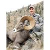 Image 7 : STATE OF WASHINGTON CALIFORNIA BIGHORN SHEEP