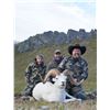 Image 1 : 10 - DAY DALL’S SHEEP/ ARCTIC GRIZZLY/BARREN GROUND/CARIBOU HUNTFOR 1 HUNTER