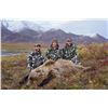Image 2 : 10 - DAY DALL’S SHEEP/ ARCTIC GRIZZLY/BARREN GROUND/CARIBOU HUNTFOR 1 HUNTER