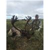 Image 6 : 10 - DAY DALL’S SHEEP/ ARCTIC GRIZZLY/BARREN GROUND/CARIBOU HUNTFOR 1 HUNTER