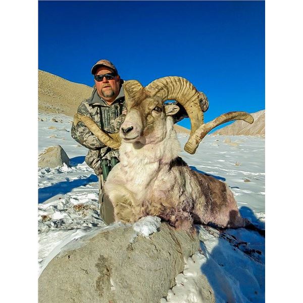 7 - DAY MARCO POLO HUNT FOR 1 HUNTER IN TAJIKISTAN
