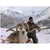 Image 3 : 7 - DAY MARCO POLO HUNT FOR 1 HUNTER IN TAJIKISTAN