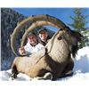 Image 1 : 7 - DAY ANATOLIAN (BEZOAR) IBEX HUNT IN TURKEY FOR 1 HUNTER
