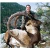 Image 3 : 7 - DAY ANATOLIAN (BEZOAR) IBEX HUNT IN TURKEY FOR 1 HUNTER