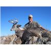 Image 7 : 5 - DAY ARIZONA COUES DEER HUNT FOR 4 HUNTERS
