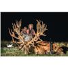 Image 1 : 5 - DAY NEW ZEALAND RED STAG HUNT FOR 2 HUNTERS SCORING UP TO 420” SCI