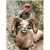 Image 1 : STATE OF MONTANA BIGHORN SHEEP LICENSE