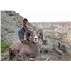 Image 4 : STATE OF MONTANA BIGHORN SHEEP LICENSE