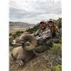 Image 6 : STATE OF MONTANA BIGHORN SHEEP LICENSE