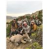 Image 7 : STATE OF MONTANA BIGHORN SHEEP LICENSE