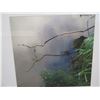 Image 2 : Framed Misty Landscape Photographic Art 29"X29"