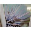 Image 3 : Qty 2 Framed  Sea Urchin Photographic Art 20"x20"