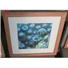 Image 1 : Wood Framed Ocean Molusks Photographic Art 20"x20"