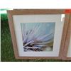 Image 2 : Qty 2 Framed  Sea Urchin Photographic Art 20"x20"