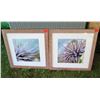 Image 1 : Qty 2 Framed  Sea Urchin Photographic Art 20"x20"
