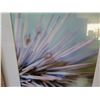 Image 3 : Qty 2 Framed  Sea Urchin Photographic Art 20"x20"