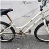 Image 2 : WHITE TRAVELER BIKE