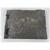 Image 1 : 1920s US Army Tientsin China Photo Album