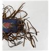 Image 8 : 20th Century Nez Perce Parfleche Spear Cover