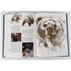 Image 7 : Bev Doolittle New Magic Book