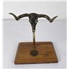 Image 1 : Bronze Steer Skull Colt Pistol Display Rack