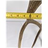 Image 12 : Montana Rocky Mountain Elk Horns Taxidermy