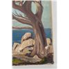 Image 4 : Frederick Kress Painting California Coast Tree