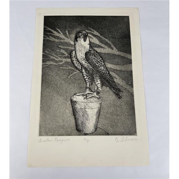 Gilmore Artist Proof Engraving Peregrine Falcon