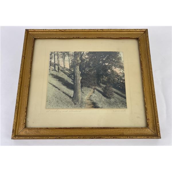 Antique Hand Tinted Photo Sunshine and Shadows