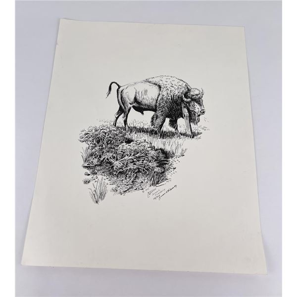 James Flansburg Buffalo Print Signed Numbered
