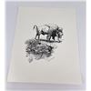 Image 1 : James Flansburg Buffalo Print Signed Numbered