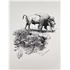 Image 2 : James Flansburg Buffalo Print Signed Numbered