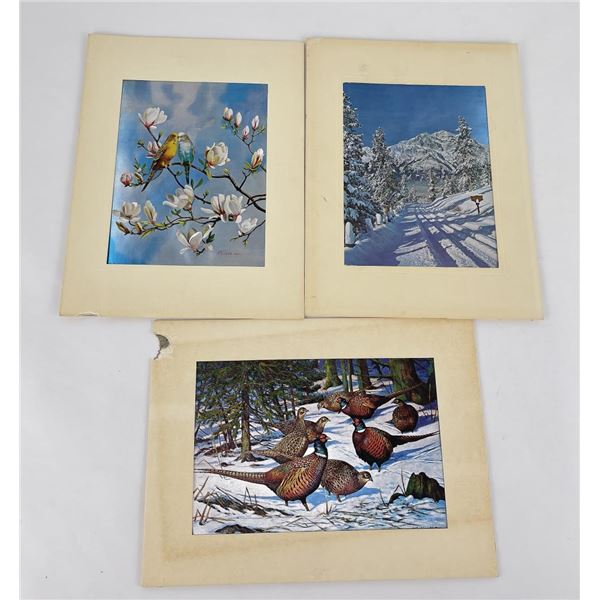 Group of 3 Prints on Silk