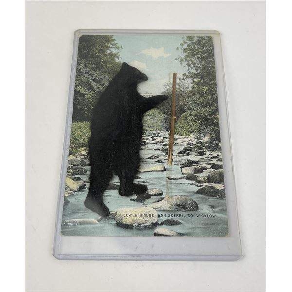 Irish Fur Postcard Bigfoot Cryptid Unusual