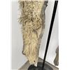 Image 4 : Clark Portland Oregon Wooly Cowboy Chaps