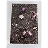 Image 6 : Bittterroot Trails Volume 1