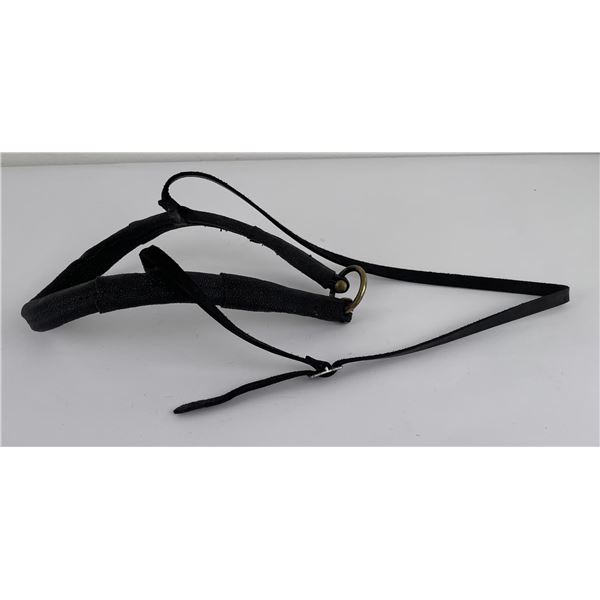 Sharkskin Horse Breast Collar