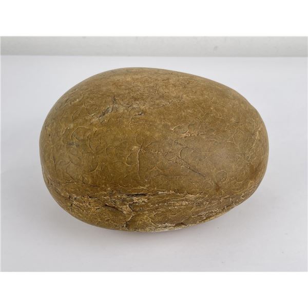 9.5" Long Dinosaur Gall Stone Gastrolith