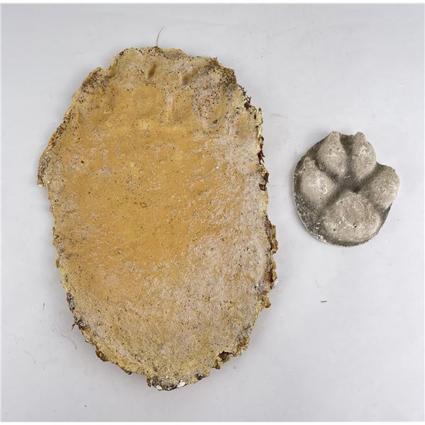 Montana Grizzly Bear Mountain Lion Track Castings