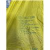 Image 2 : US Forest Service Silk Parachute FS-12 #2