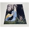 Image 7 : US Forest Service Silk Parachute FS-12 #2