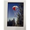 Image 8 : US Forest Service Silk Parachute XP-5 #1
